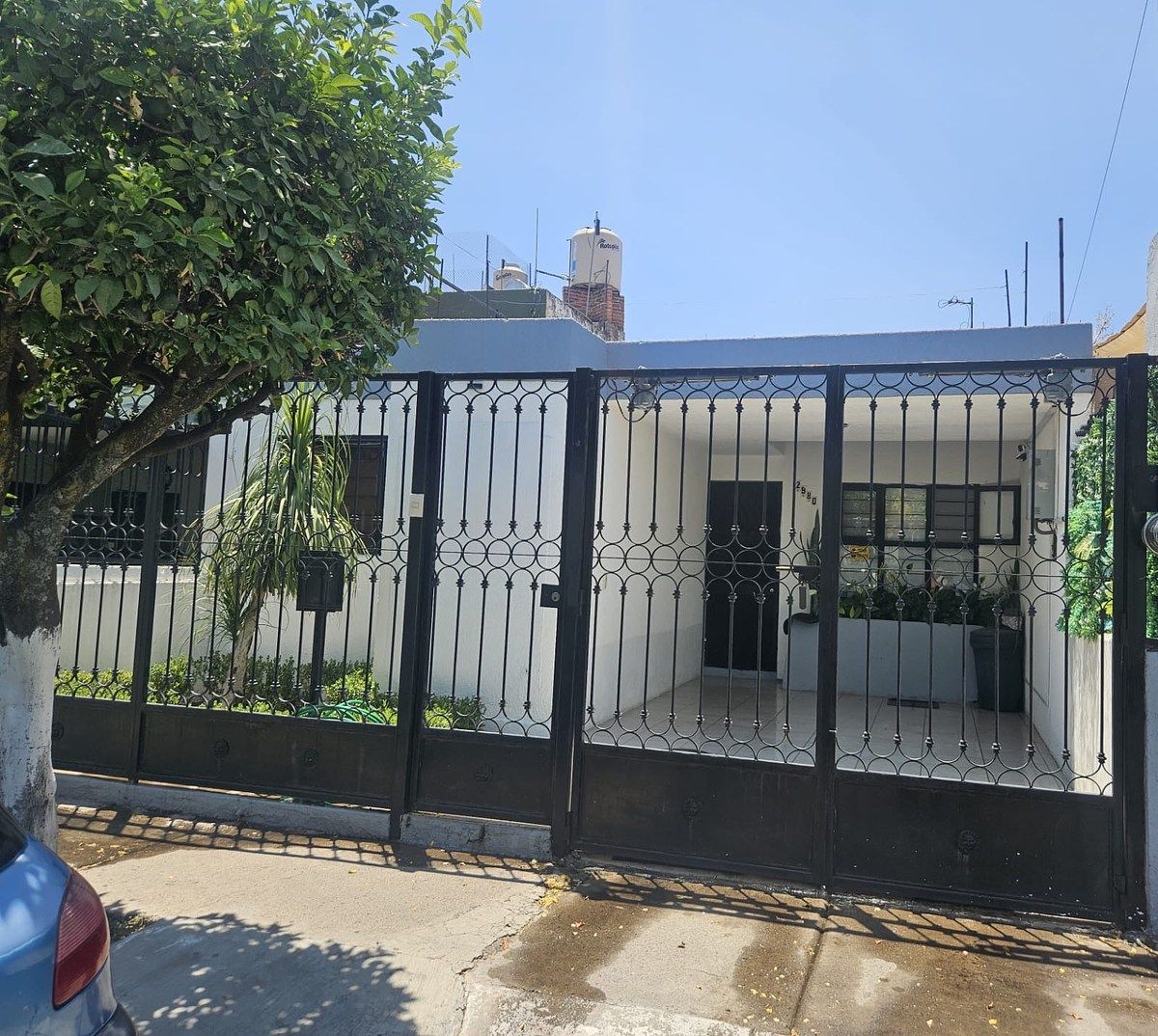 1 de 7