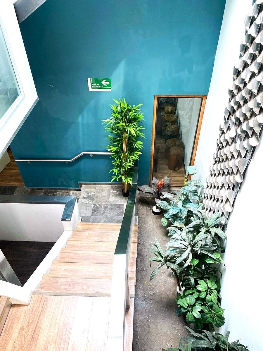 Building in Barrio La Fama, Tlalpan, photo 7 of 28
