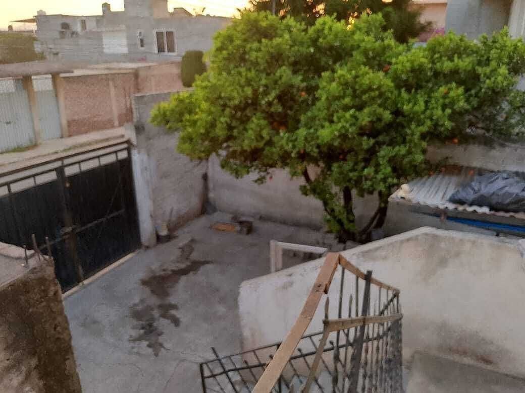 1 de 7
