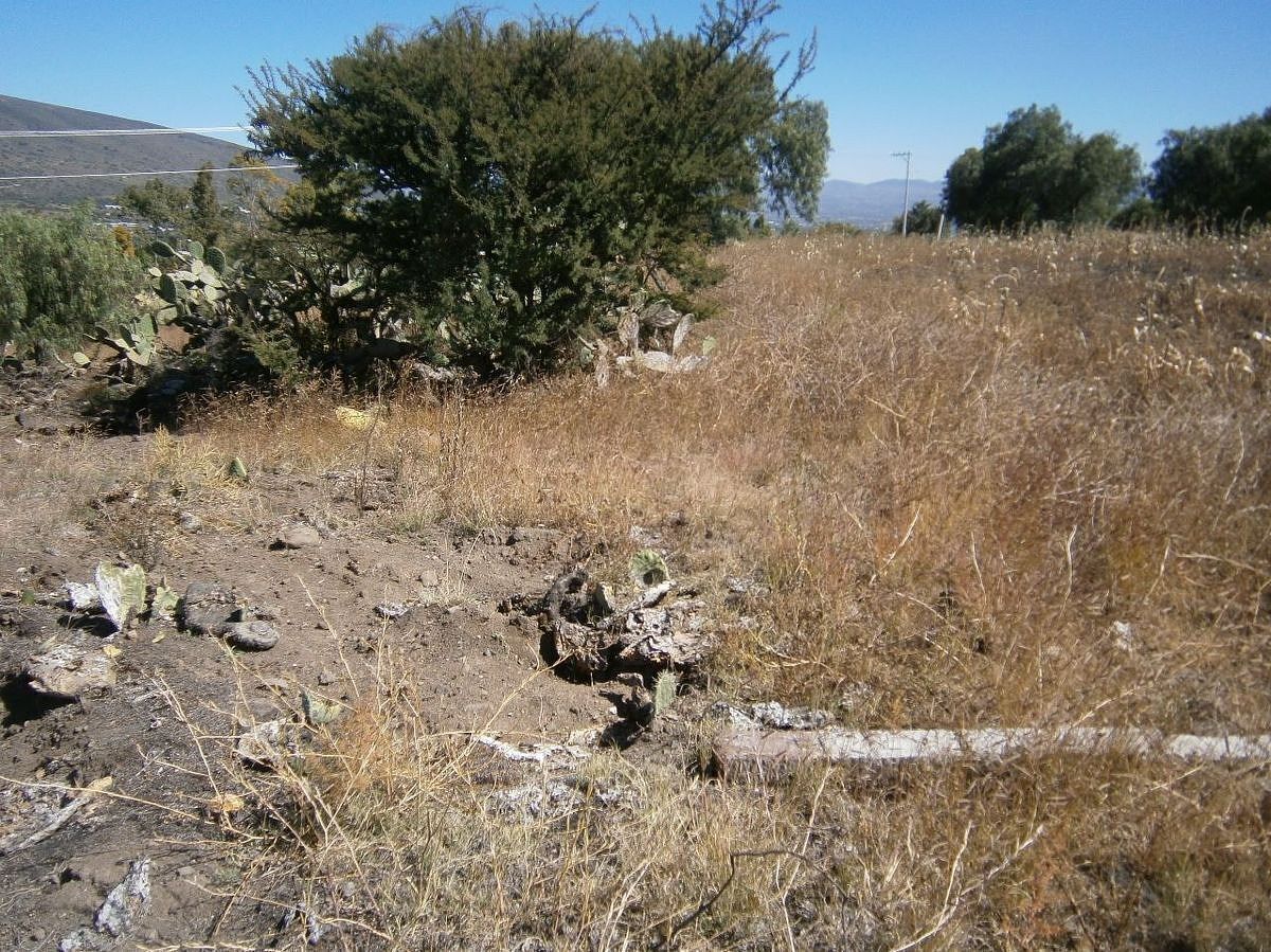 Lote em Ixtlahuaca, San Martín de las Pirámides, foto 6 de 8