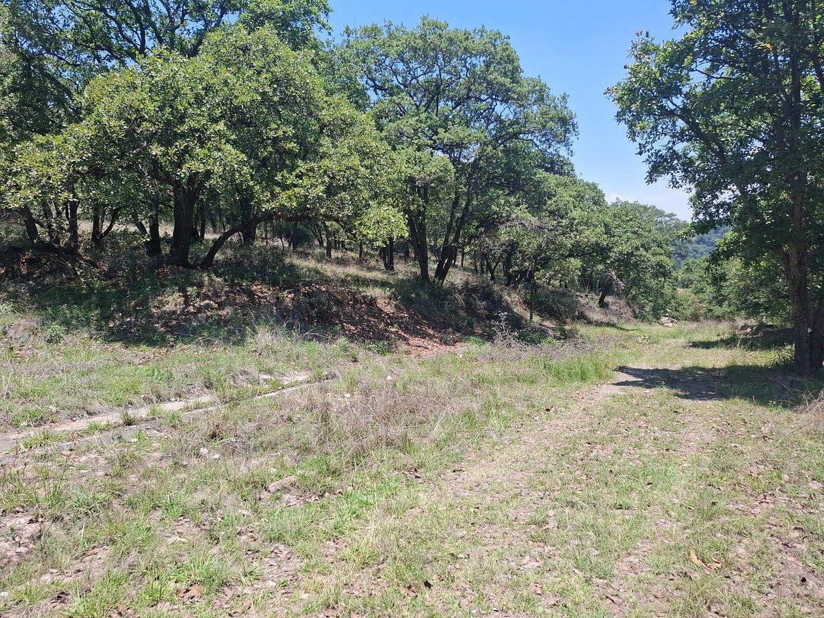 Terreno en Villa del Carbón, Villa del Carbón, foto 13 de 17