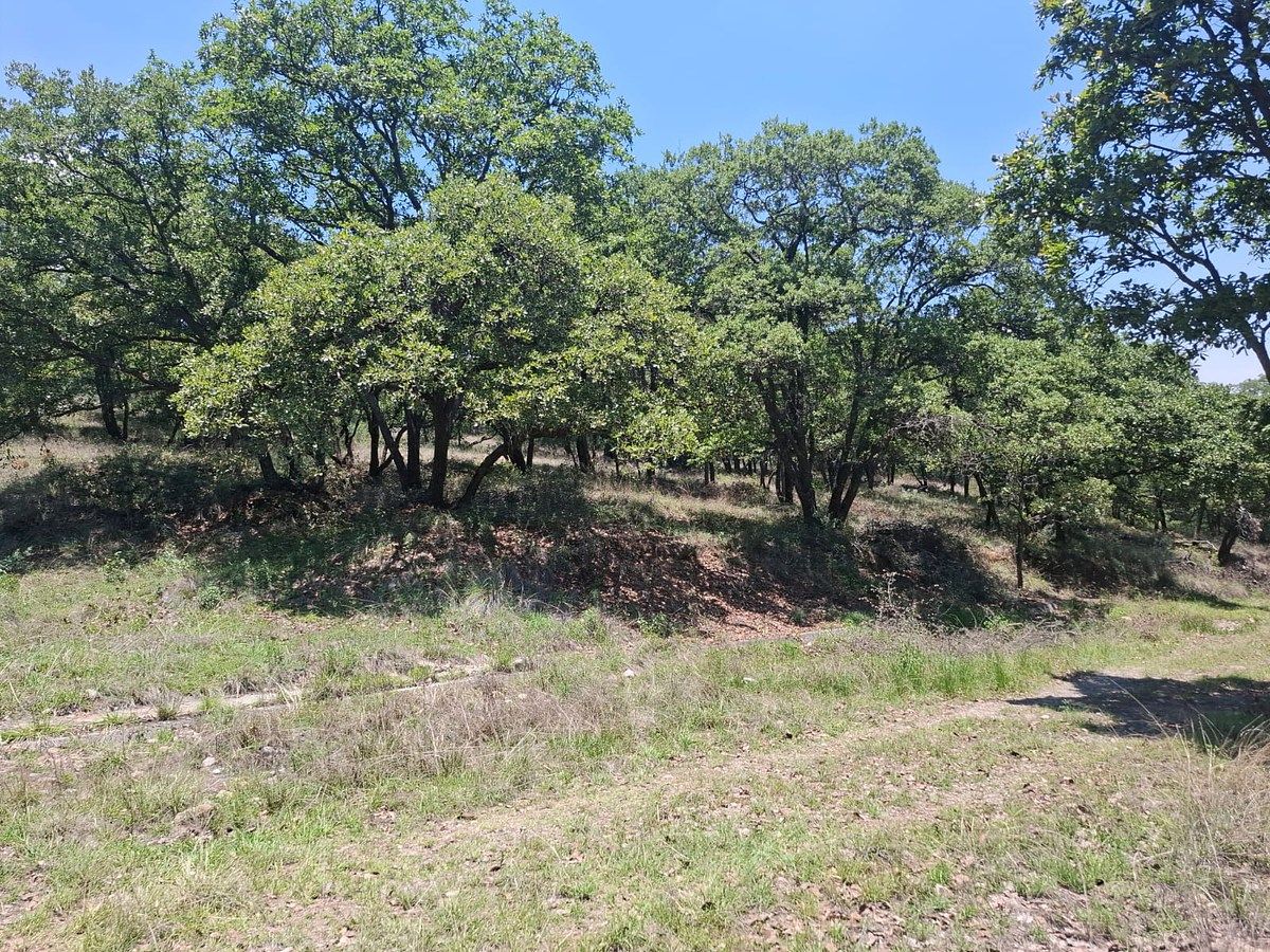 Terreno en Villa del Carbón, Villa del Carbón, foto 4 de 17
