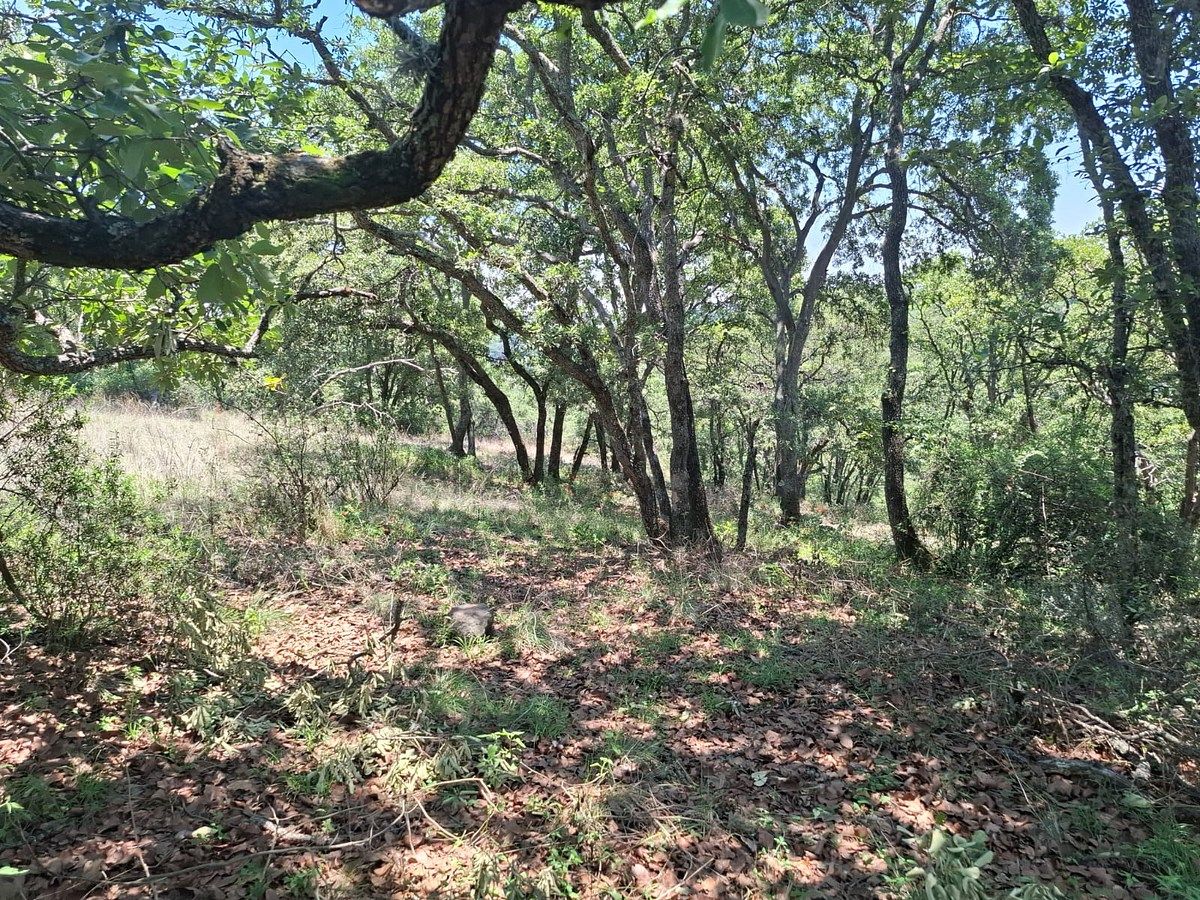 Terreno en Villa del Carbón, Villa del Carbón, foto 15 de 17
