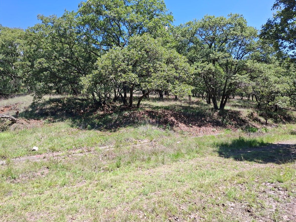 Terreno en Villa del Carbón, Villa del Carbón, foto 9 de 17