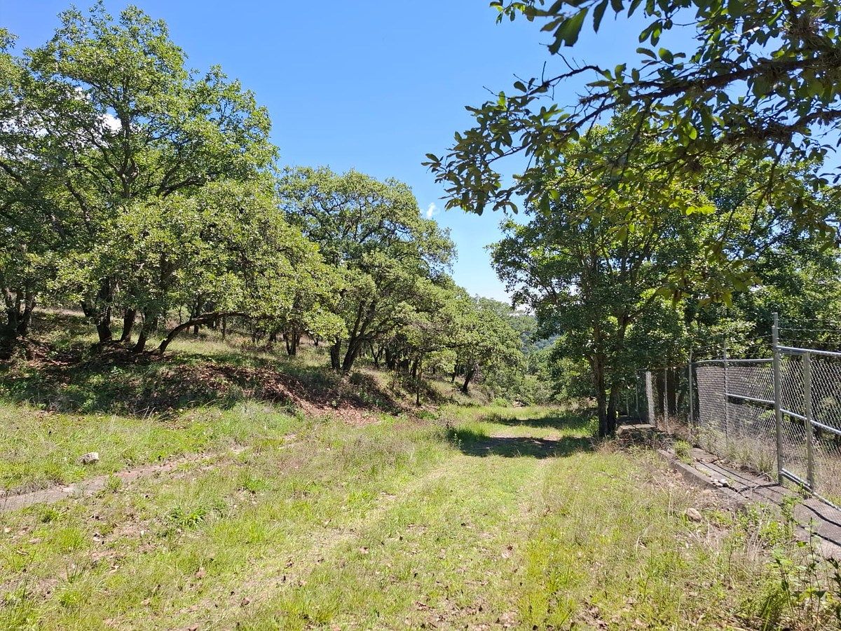VENTA DE TERRENO EN FRACCIONAMIENTO RESIDENCIAL CAMPESTRE LOTE 10 MZ XI, foto 1 de 17