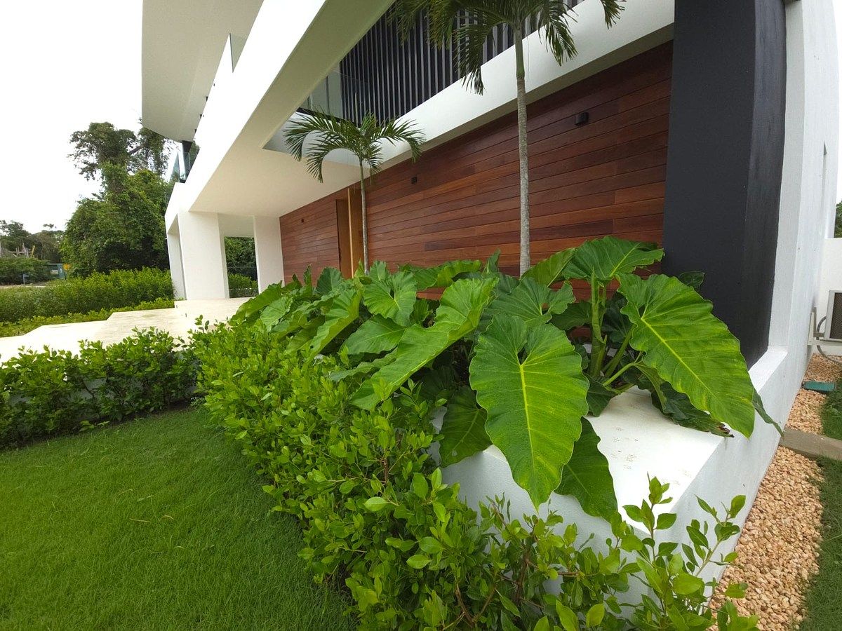 Villa en Punta Cana Village, Punta Cana, foto 3 de 20