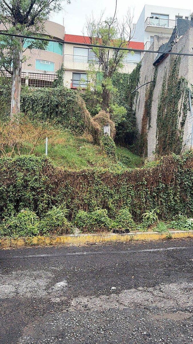 12 de 13
