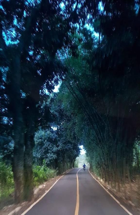 Terreno en Buena Vista, Jarabacoa, foto 2 de 2