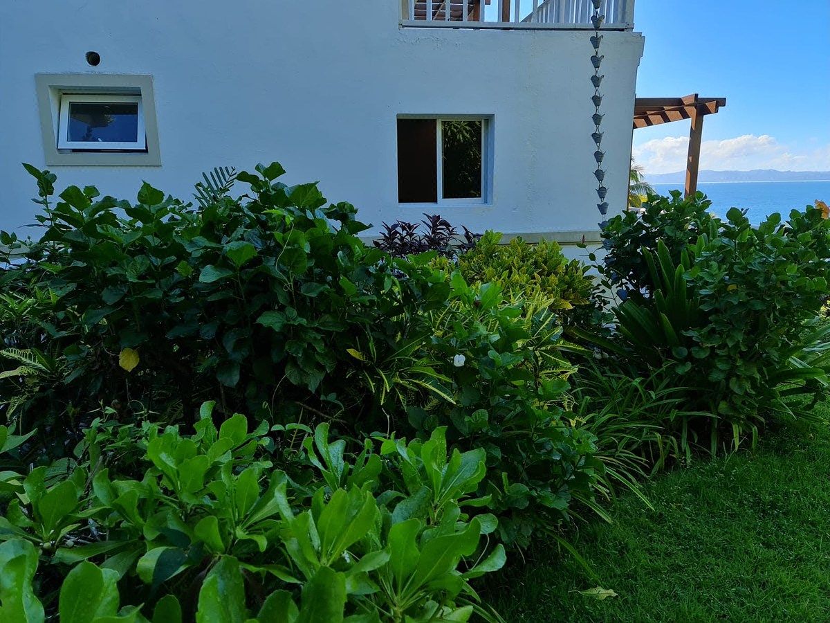 Apartamento en Las Galeras, foto 8 de 10