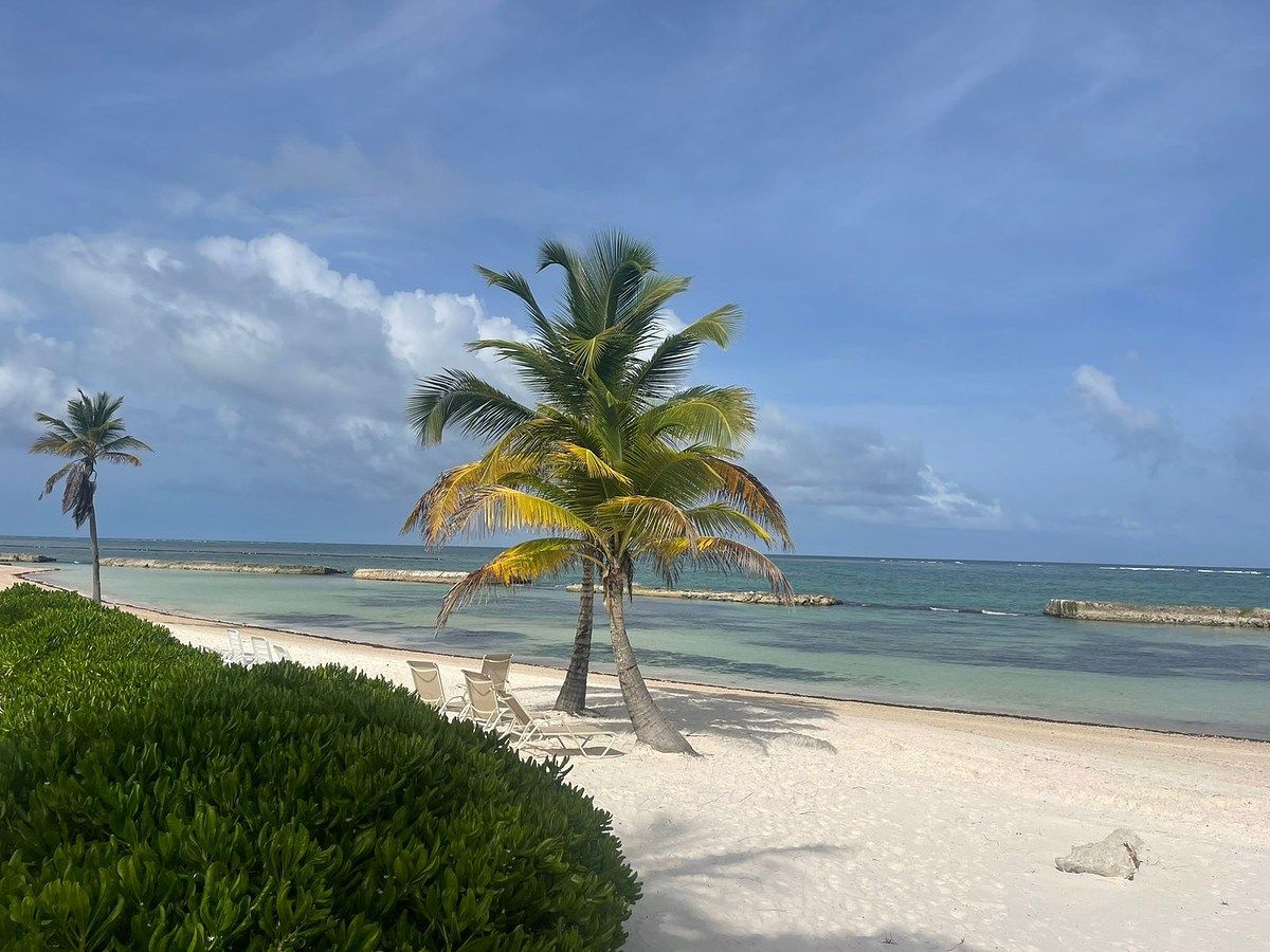 Apartamento en Cap Cana, Punta Cana, foto 19 de 20