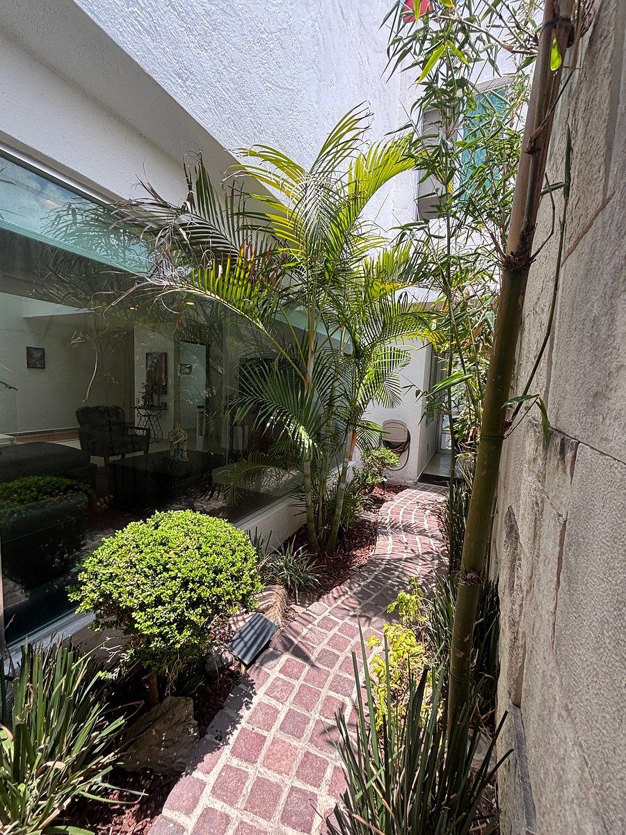 48 de 50: Jardín en Pasillo lateral