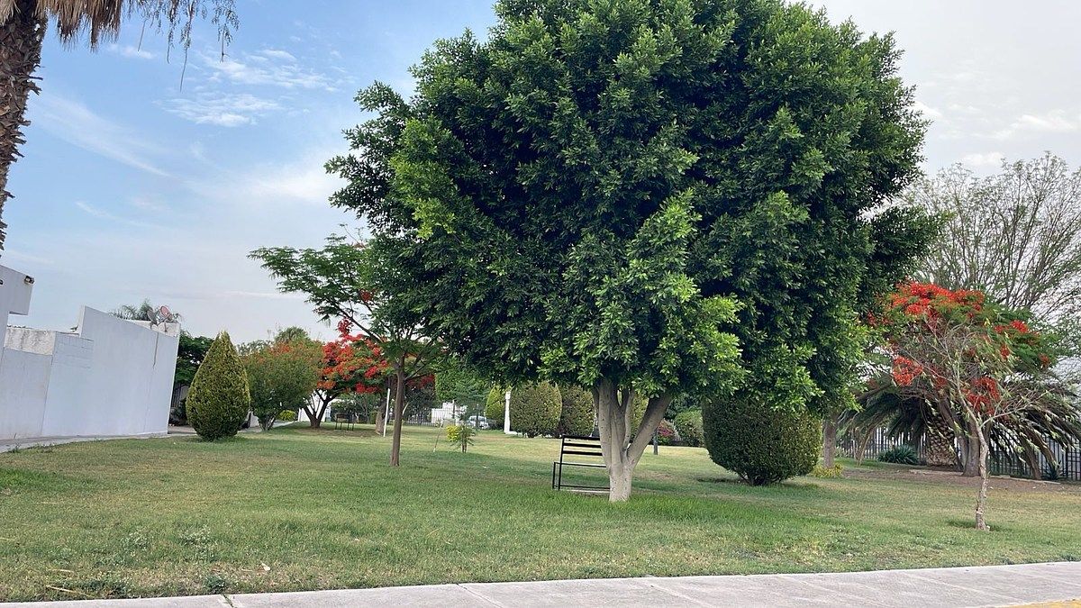 8 de 8