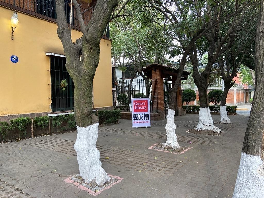 8 de 8