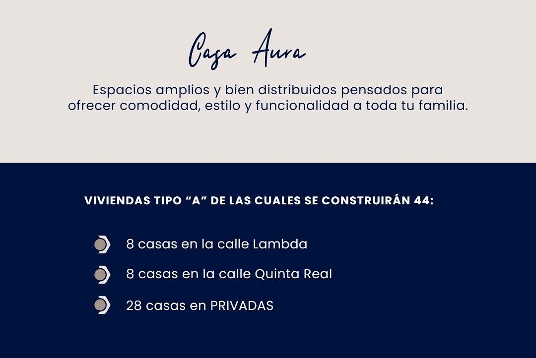 5 de 12