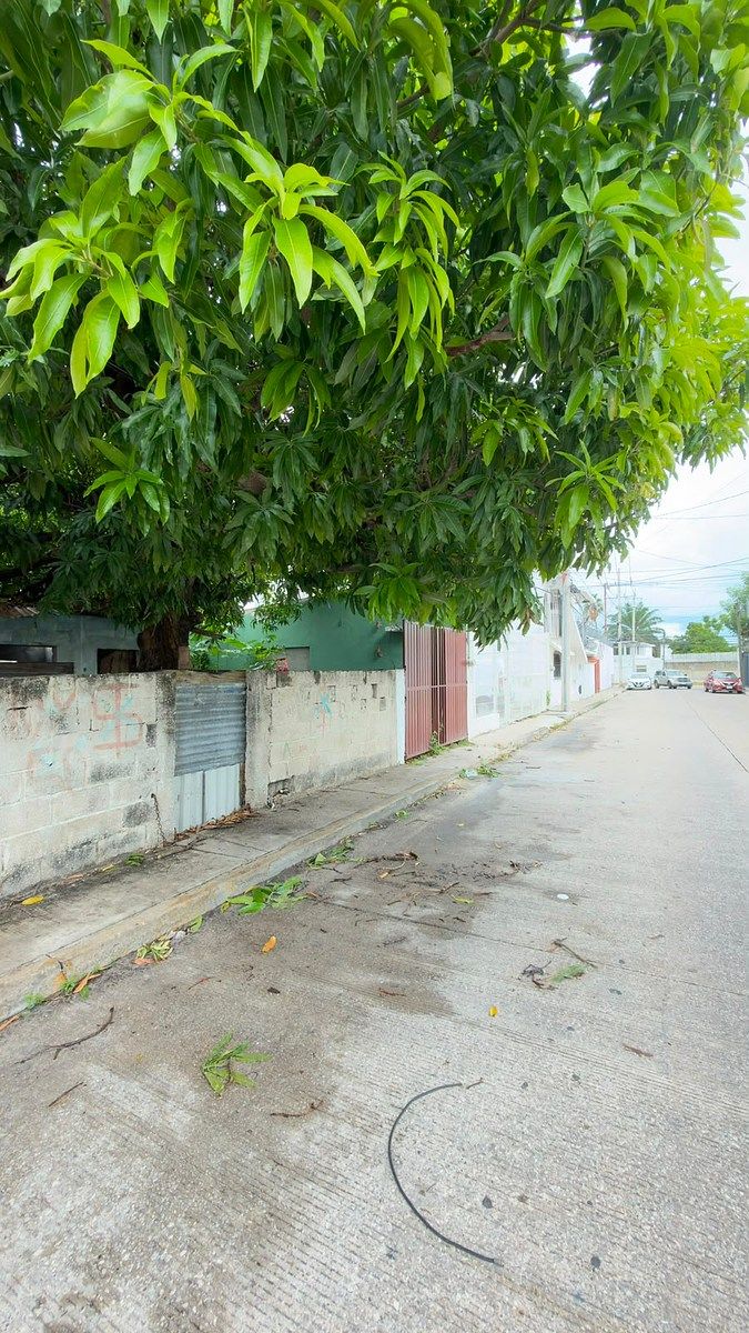 Lote em Tacubaya, Carmen, foto 2 de 5