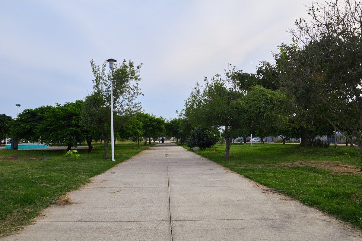 13 de 17