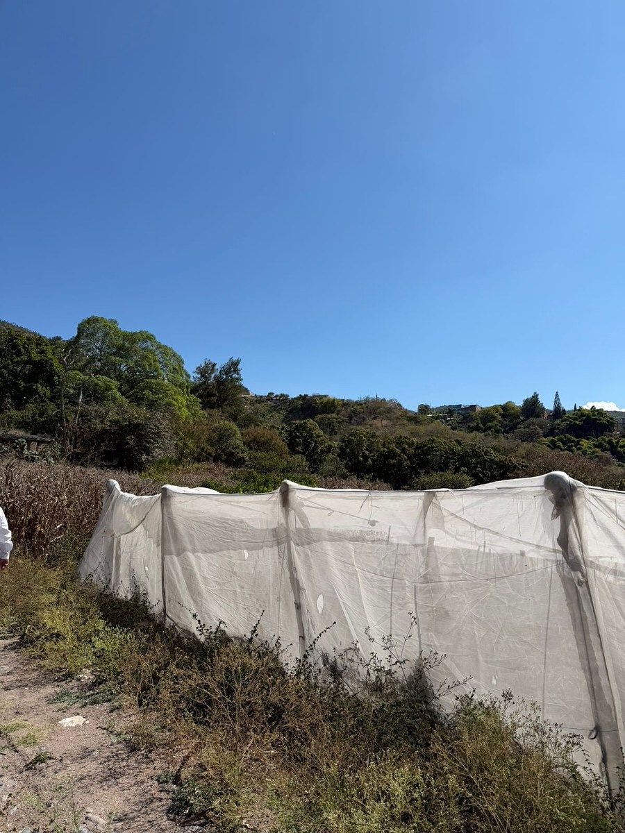Lot in Ex-Hacienda San Nicolás, Chilpancingo de los Bravo, photo 10 of 12