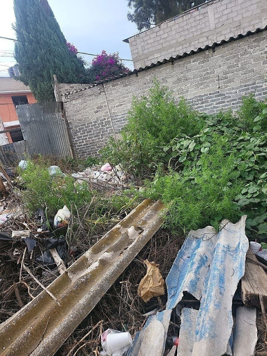 2 de 6