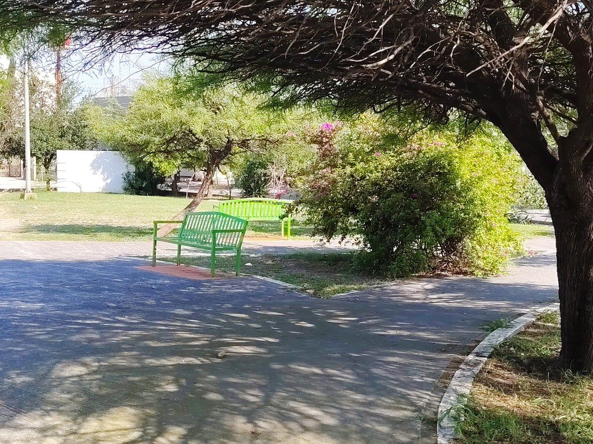 3 de 11