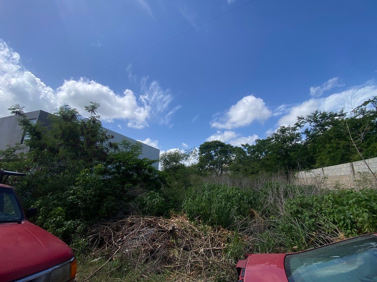Lote em Temozon, Temozón, foto 3 de 5
