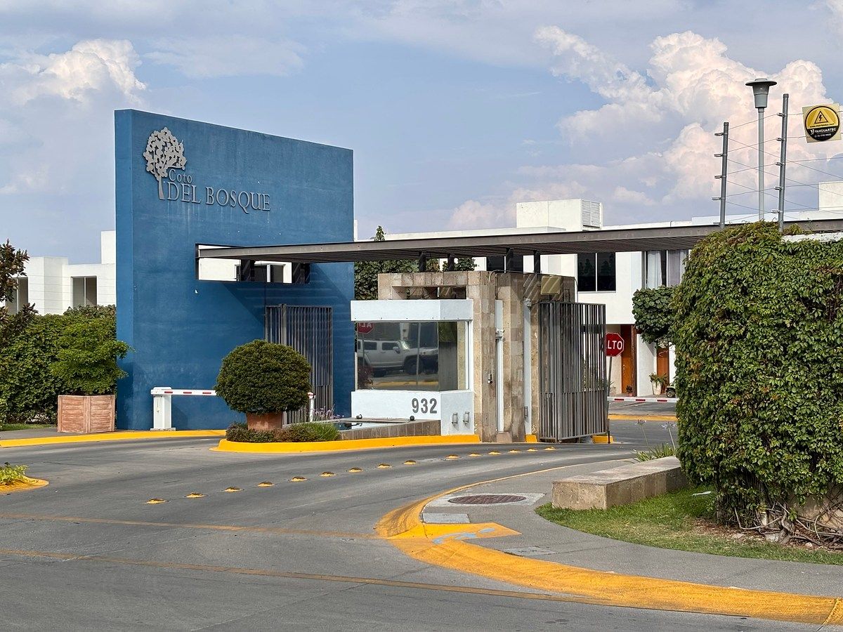 11 de 12