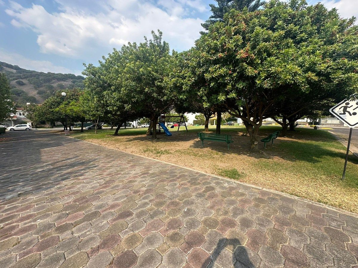 35 de 35: PARQUE