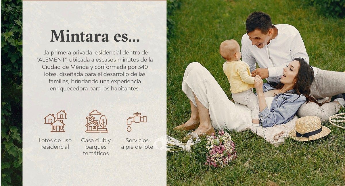 4 de 16