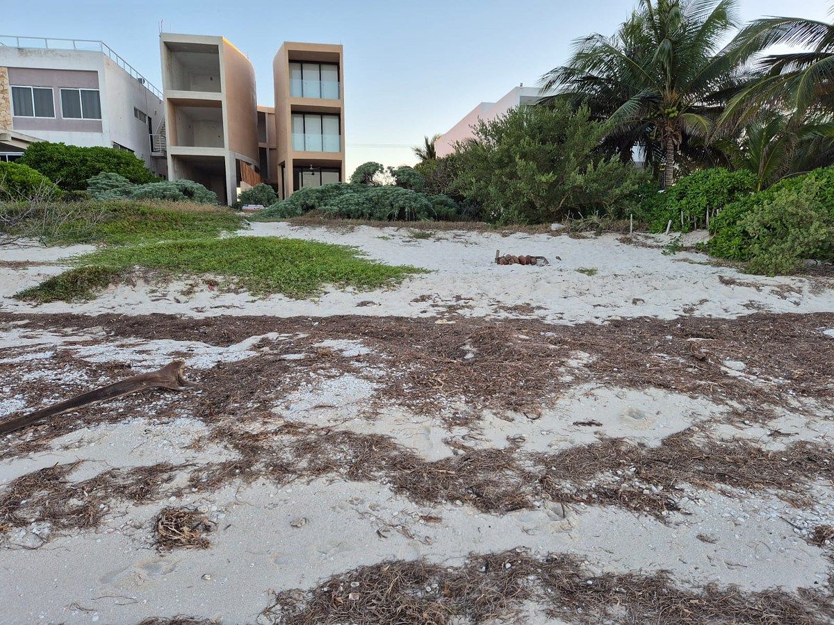 Terreno en San Benito, Dzemul, foto 2 de 9