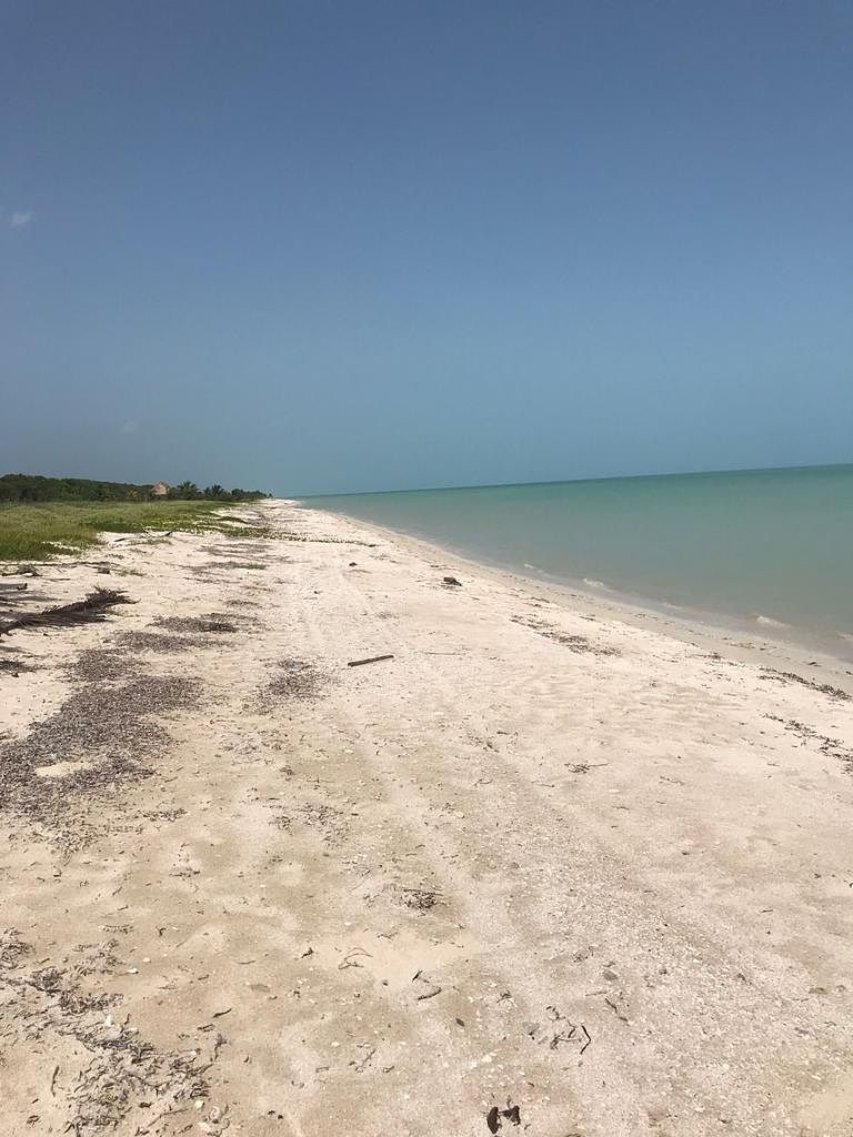 1 de 7