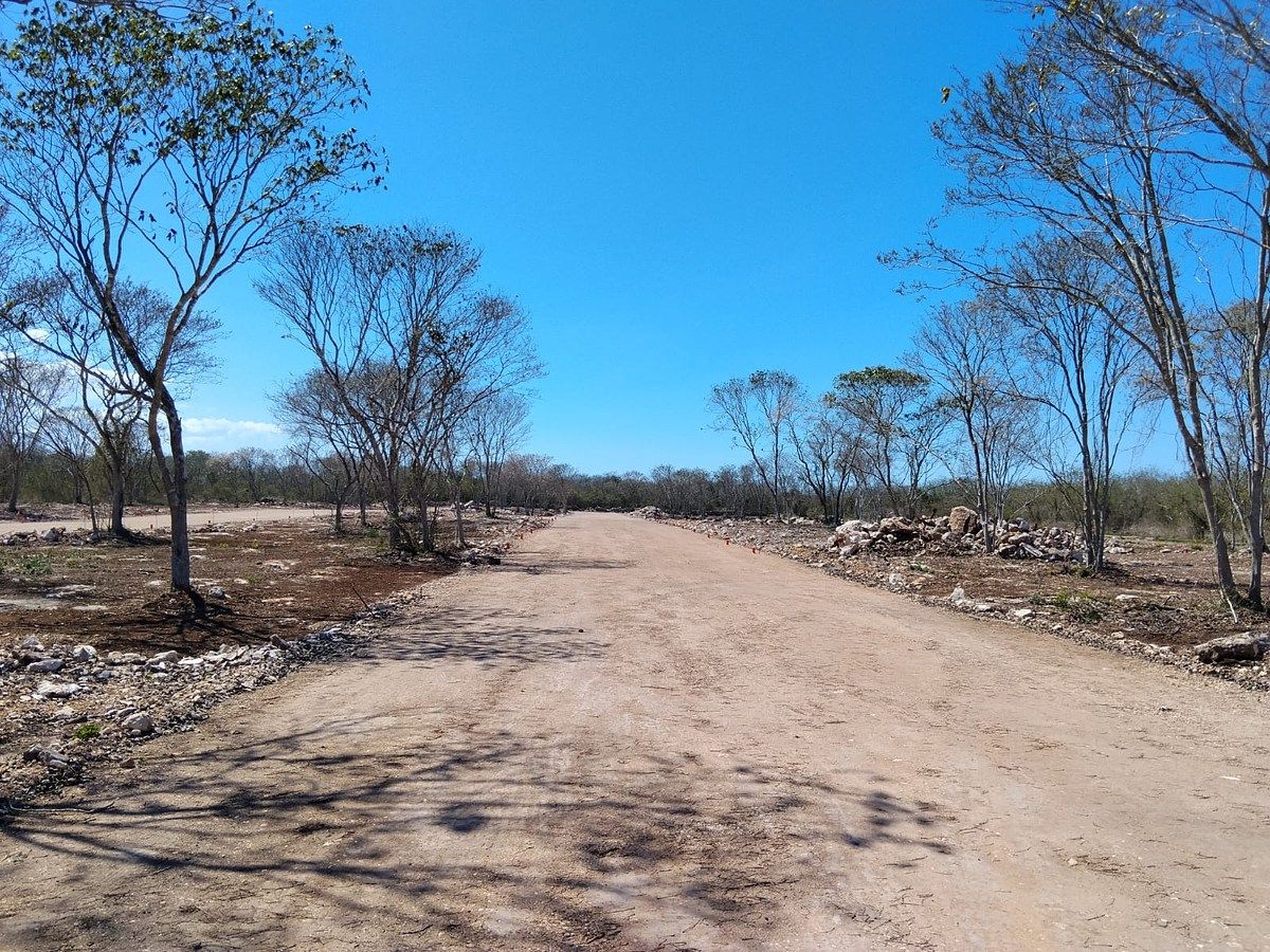 13 de 22