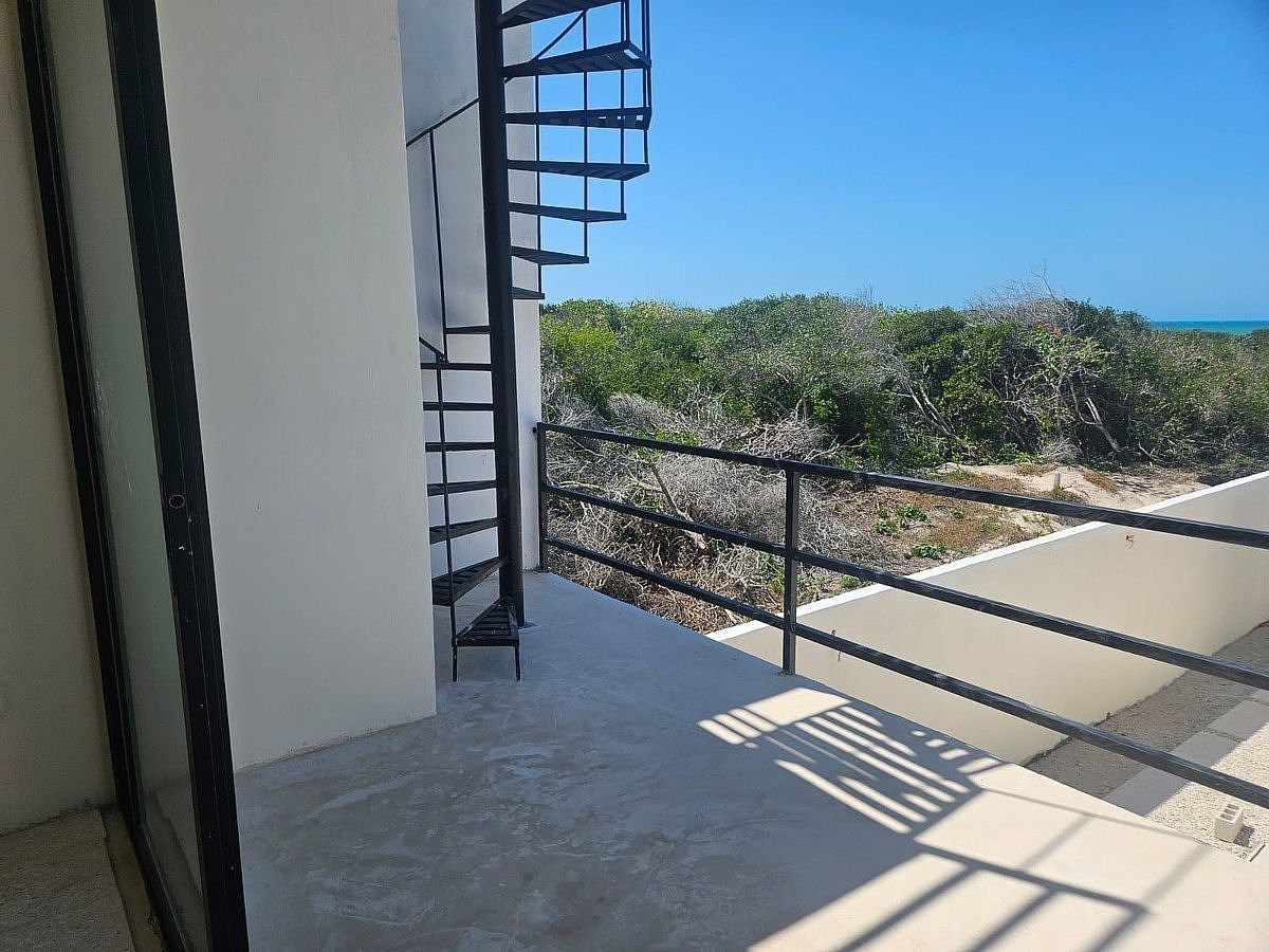 8 de 19