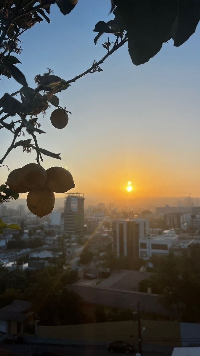 Apartment in Madero (Cacho), Tijuana, photo 5 of 15