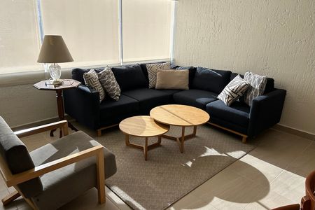 POLANCO DEPARTAMENTO AMUEBLADO RENTA 45,000