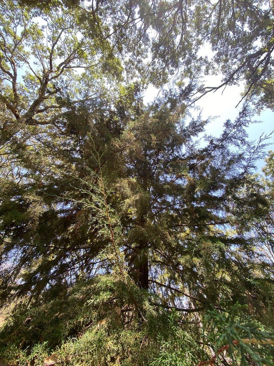 11 de 12