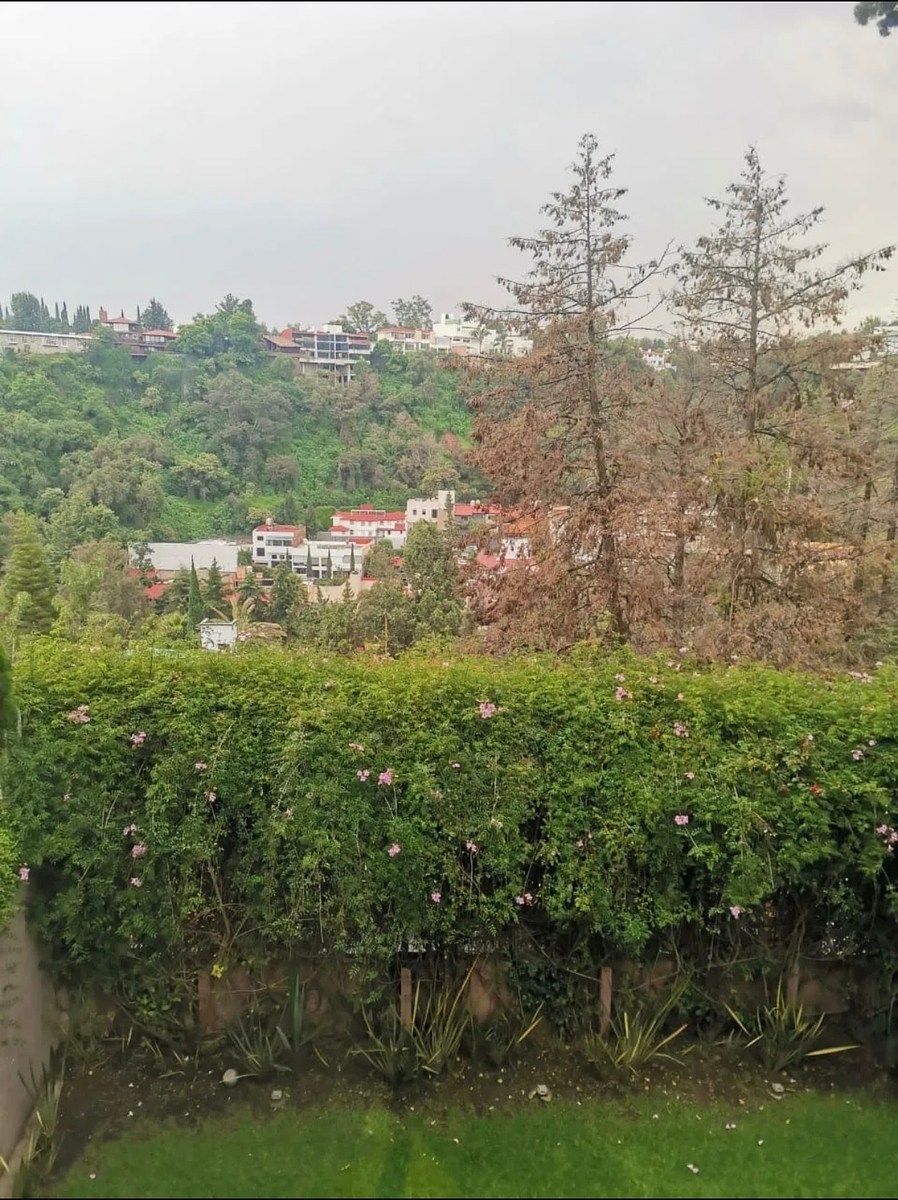 9 de 9
