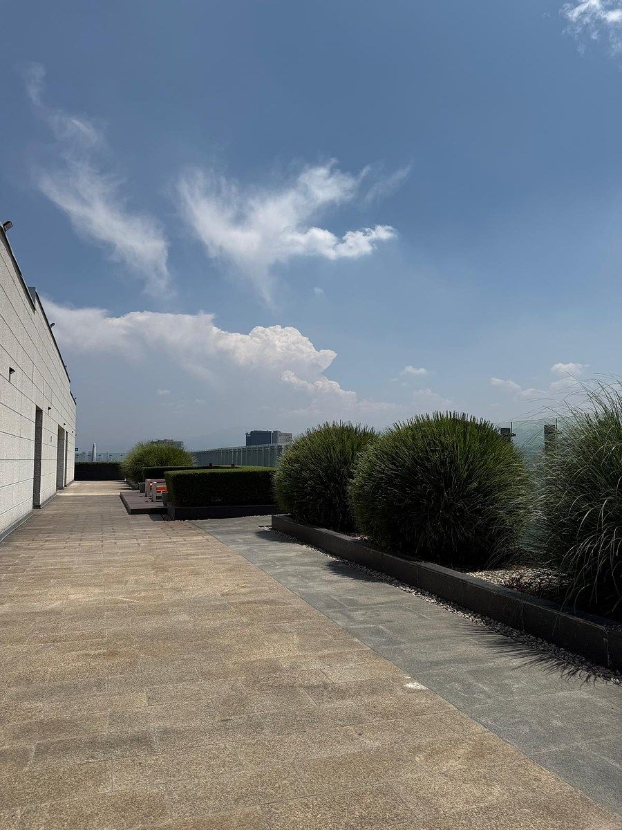 Roof Garden, foto 22 de 35