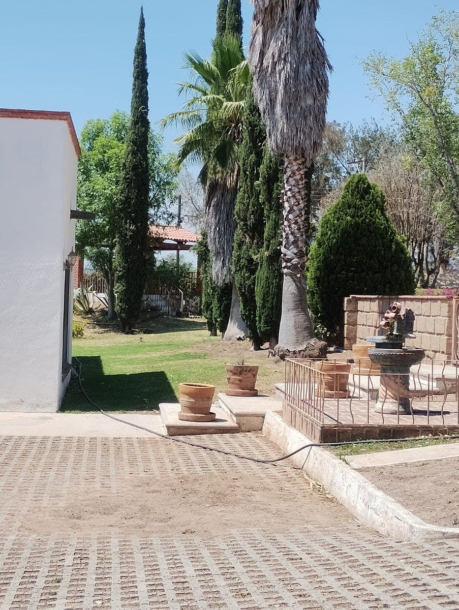 33 de 42