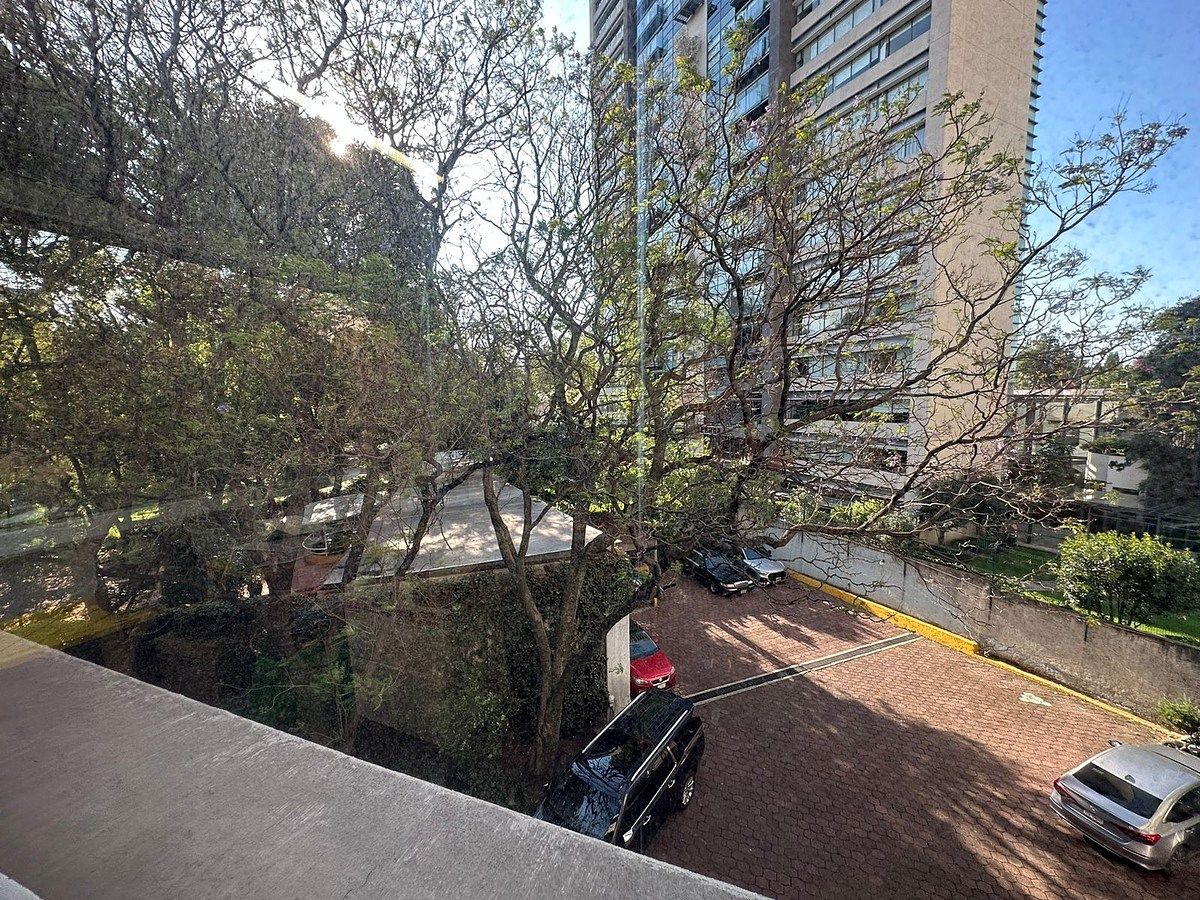 Sala Comercial em Jardines del Pedregal, Álvaro Obregón, foto 18 de 26