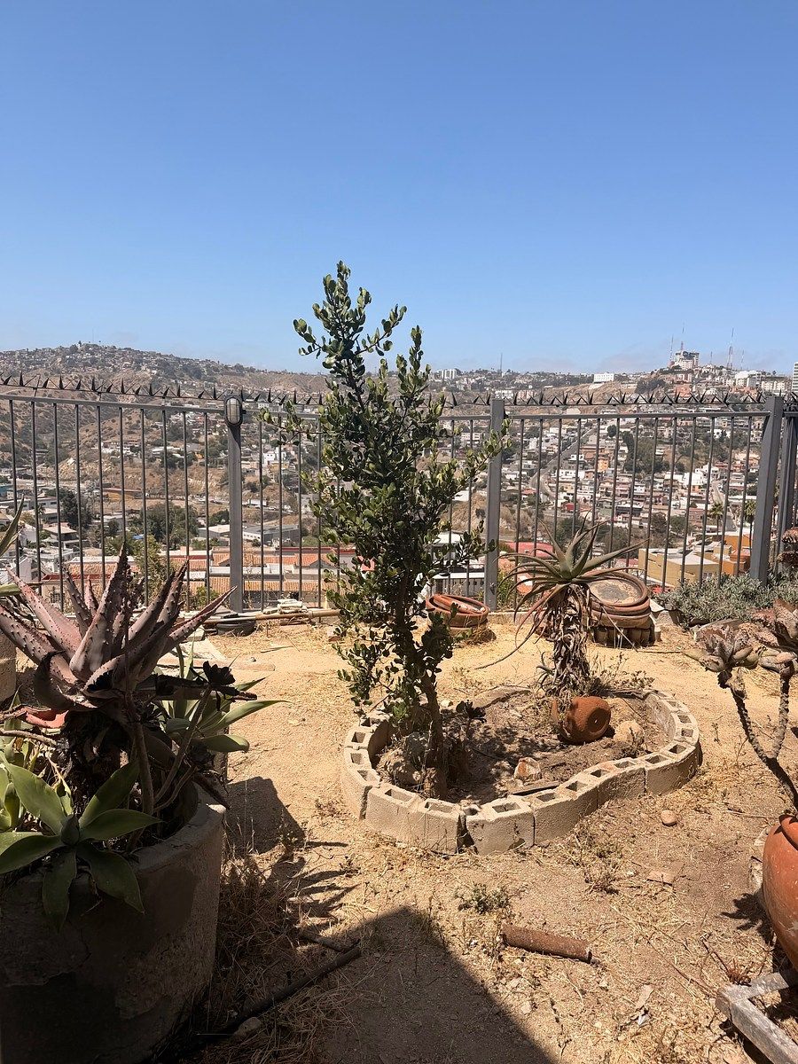 Terreno en Lomas Doctores (Chapultepec Doctores), Tijuana, foto 3 de 4
