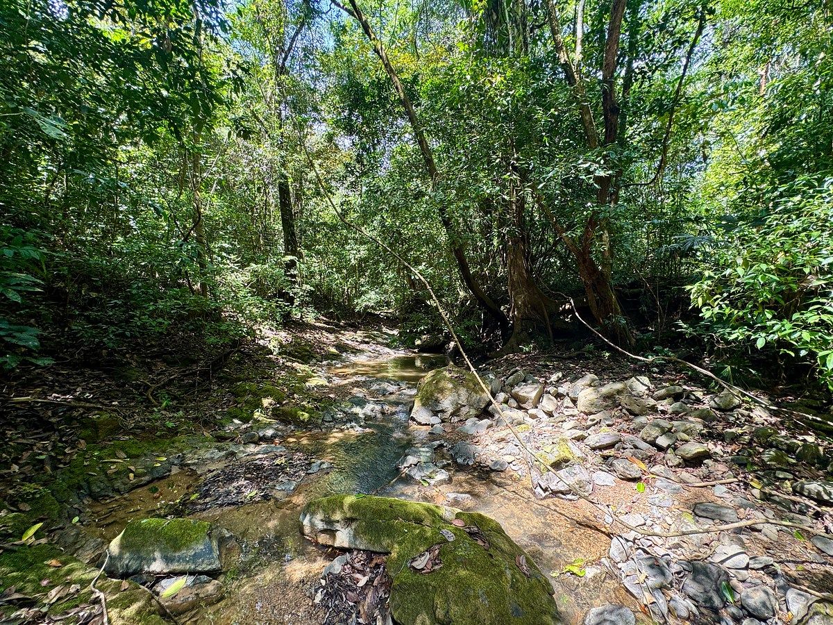 Land in Ojochal, photo 12 of 16