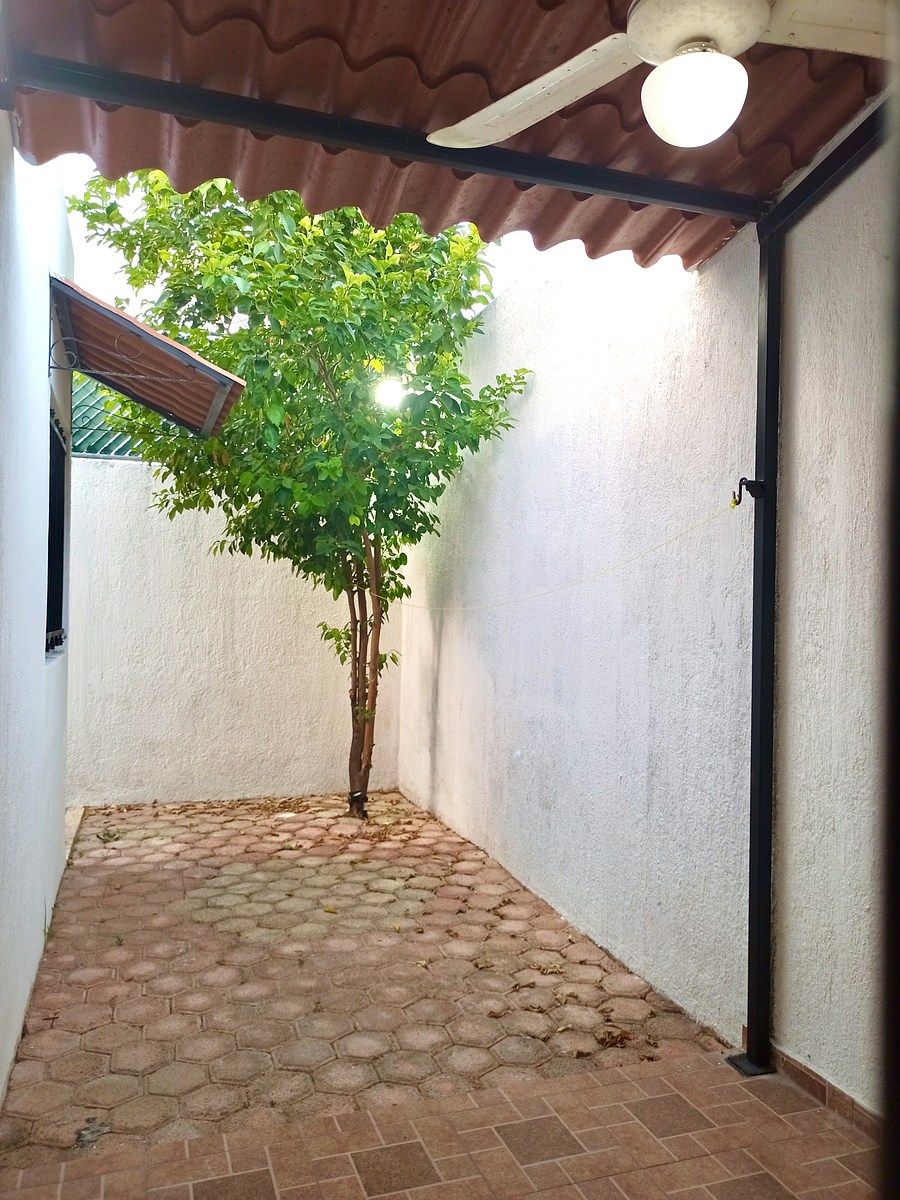 2 de 12