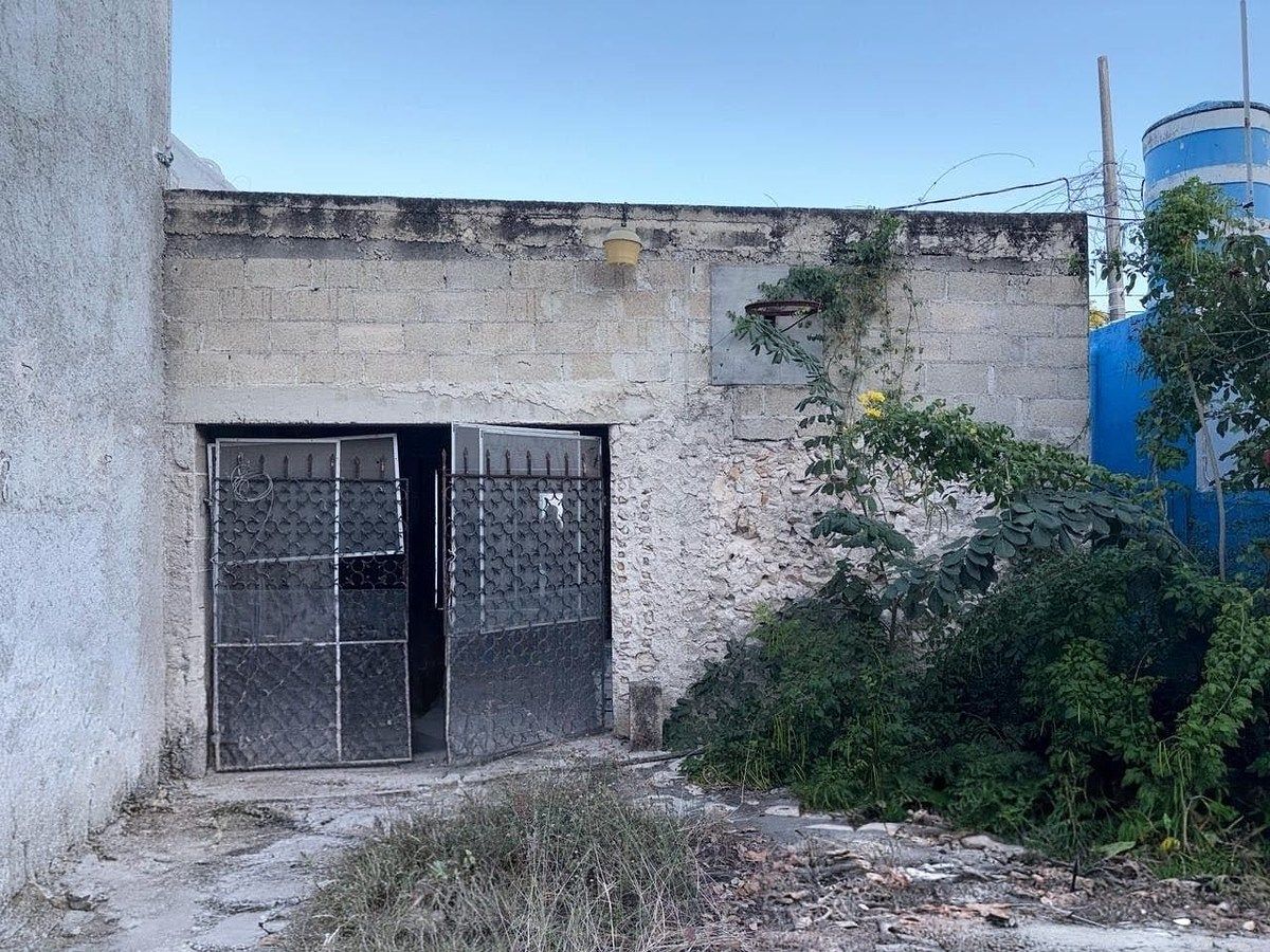4 de 7