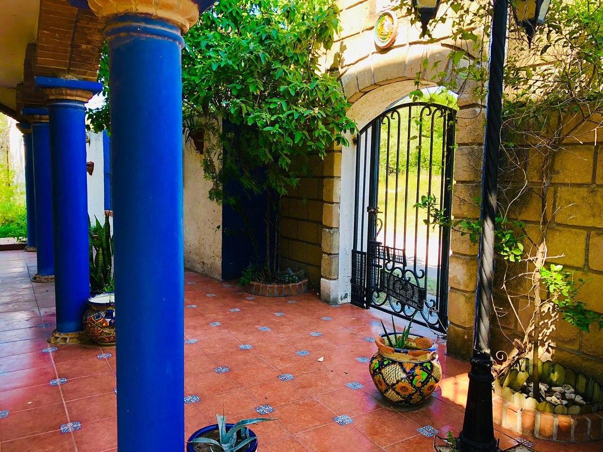 Chácara em Abasolo Centro, Abasolo, foto 5 de 18