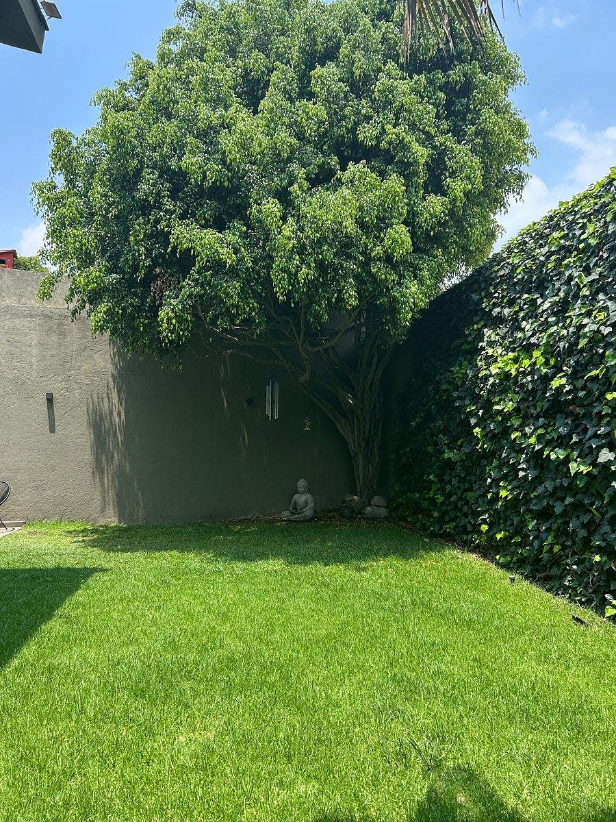 4 de 34