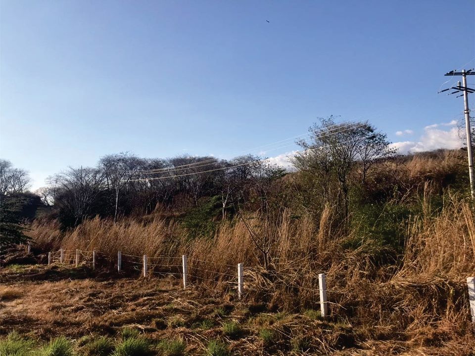 En Venta Terreno Comercial en Nuevo Libramiento Sur,se puede vender fraccionado - foto 4