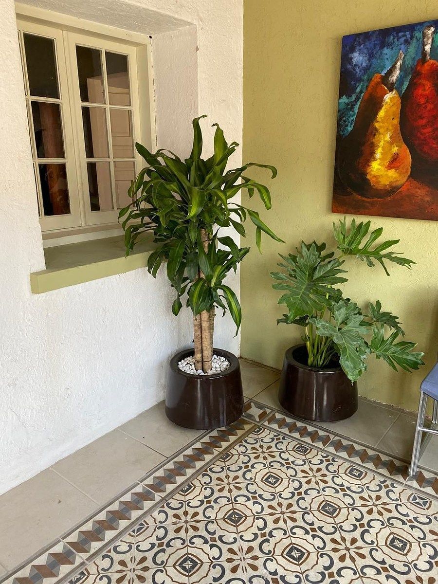 Casa en Zona Centro, Chihuahua, foto 2 de 20