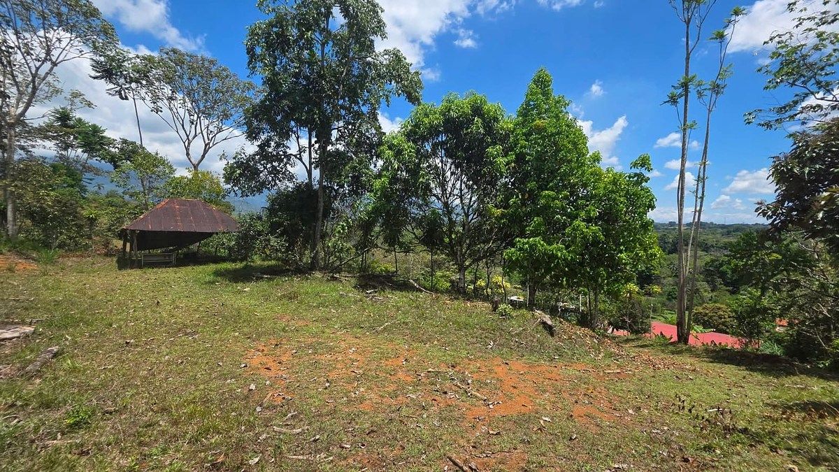 VENTA DE HERMOSA FINCA, UBICADA EN ARENILLA DE SAN PEDRO, PÉREZ ZELEDÓN, foto 1 de 18