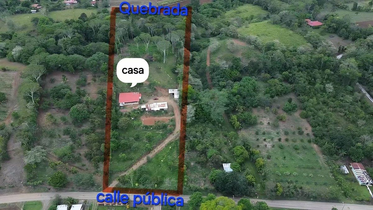 Finca en Pérez Zeledón, foto 3 de 18