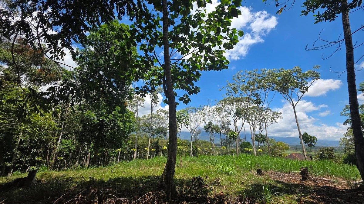 Finca en Pérez Zeledón, foto 4 de 18