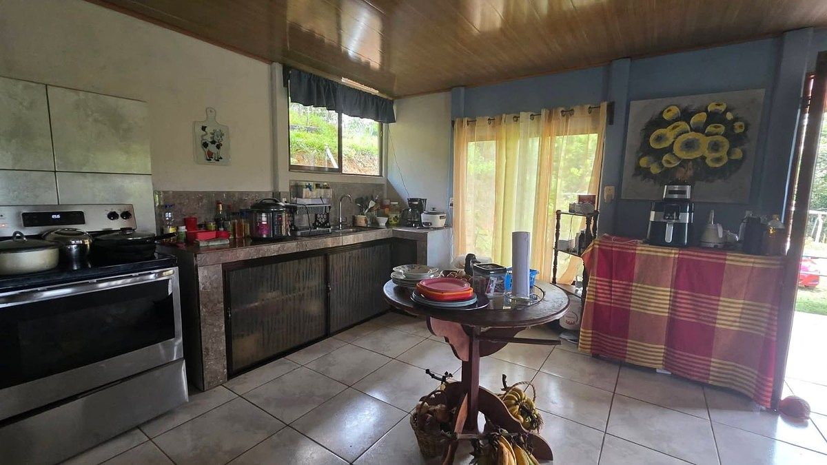 Finca en Pérez Zeledón, foto 8 de 18